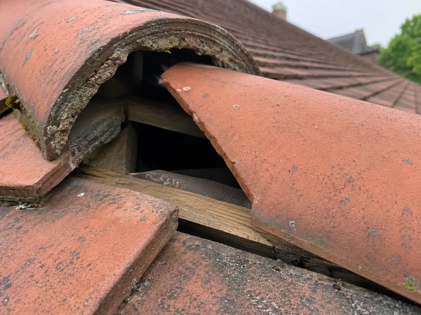 Common roof issues on homes around Marryatville